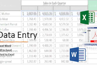 be your virtual assistant and data entry operator