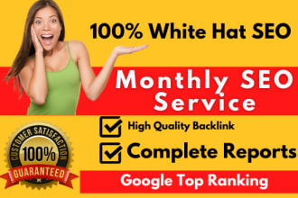 provide complete monthly SEO service with backlinks for google top ranking