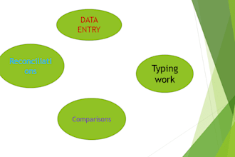 provide data analysis,data entery and processing