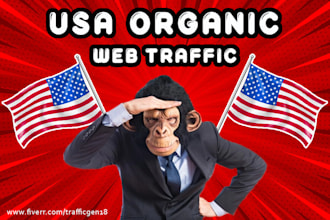 drive USA niche targeted organic traffic, drive visitors
