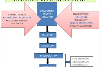 ease science and plant biology for you