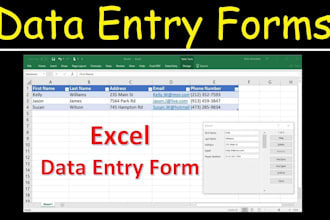 do professional data entry and video editing