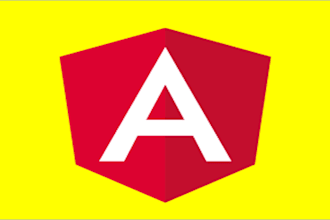 fix any angular bug or error
