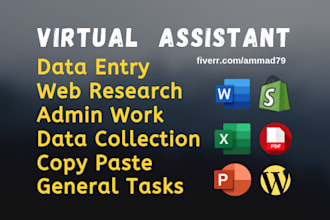be data entry, web scraping and copy paste, excel data entry