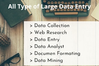 passionate all type of large data entry