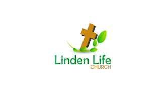 design or edit a Professional logo for you