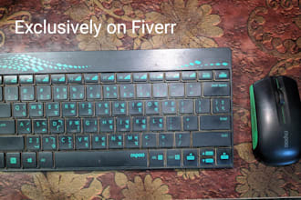 do data entry copy past, data mining, data processing
