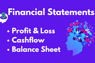 prepare balance sheet, profit and loss and financial projections