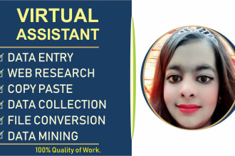 excel data entry, mining, scraping, virtual assistant