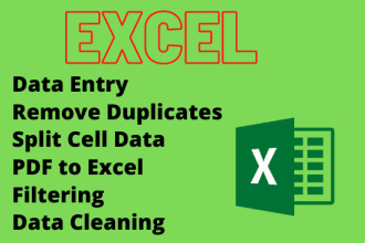 do excel or google sheet data entry, copy paste, pdf to excel or word