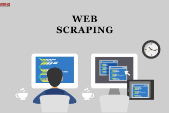 do web scraping data extraction or build custom python web scrapers