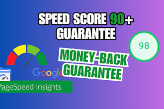 do SEO friendly wordpress speed optimization and wordpress speed up