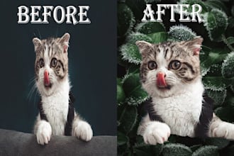 professionally and quickly remove background from picture
