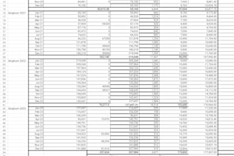 be your virtual excel data entry helper