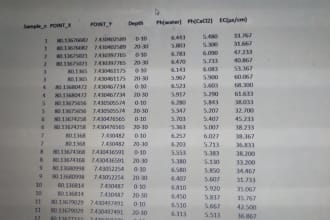 fast data entry word excel virtual assistant