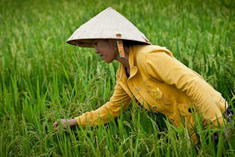 provide agriculture and food leads