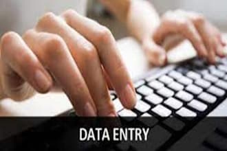 do any data entry job for 2 hours