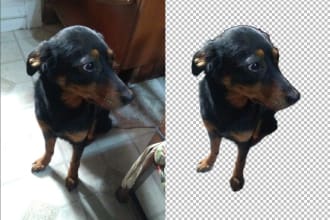 remove background 25 images with white or transparent