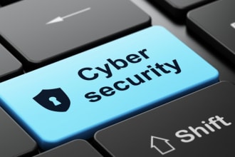 do penetration testing for your company