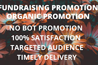 setup crowdfunding campaign, fundraising promotion