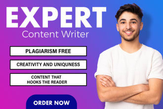 do SEO content writing, article writing for blogs