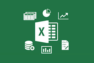provide excellent service in excel data entry, typing copypaste