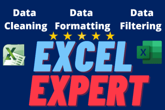 excel data cleaning, formatting, remove duplicate, data cleanup