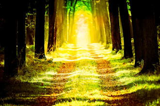 photo editing and effects