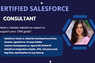 handle your salesforce admin, automation, and apex dev