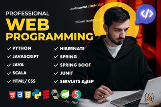 do professional web programming
