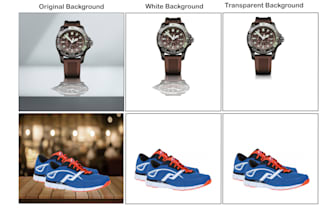 professionally cut out images,background removal