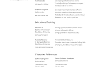 create professional resumes to fit your needs