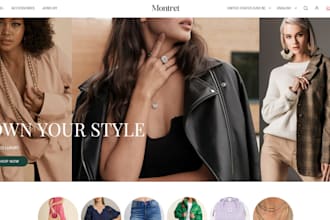 setup and design your shopify website