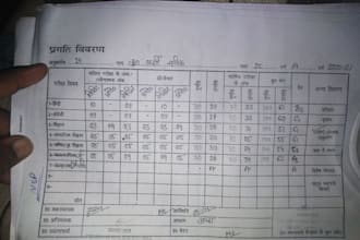 do typing , data entry, microsoft excel,