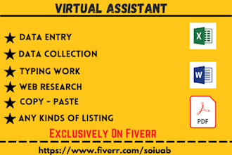 do fastest data entry and copy paste job