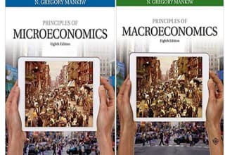 assist you in macroeconomics projects