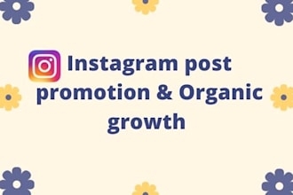 do instagram promotion and marketing for organic growth