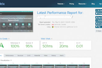 do gtmetrix speed optimization for wordpress with 95 score