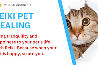 pet reiki distant healing , calm, comfort, and care