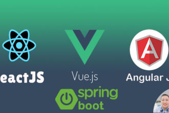 teach you spring boot, angular, vuejs, reactjs from beginners to professional