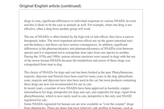 translate from english to dutch