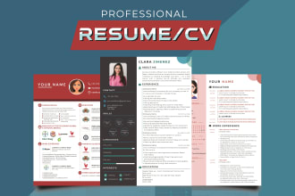 design custom infographic resume or cv in 3 hours
