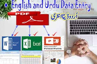 do urdu and ms office data entry