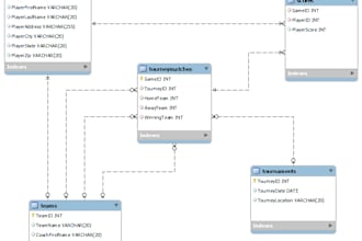 do database design, erd, relational schema, sql query