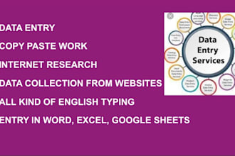 be your fastest data entry operator in a low price