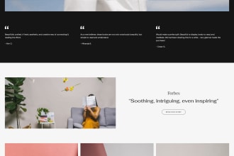 design, recreate, polish or fix your webflow website