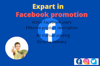 do facebook promotion for USA any company