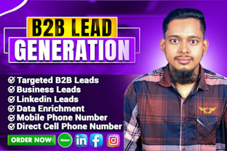 do b2b lead generation, email list building, direct phone number,data enrichment
