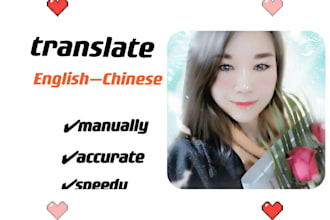 provide professional chinese and english translation service