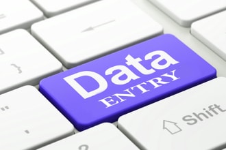 do data entry, copy paste job